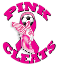 Beach Soccer  for Pink Cleats Coaches against Cancer
